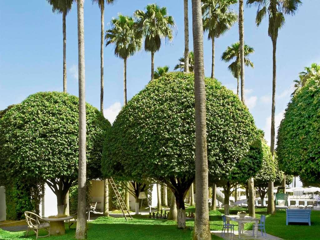 Delano South Beach Miami Beach Facilities photo